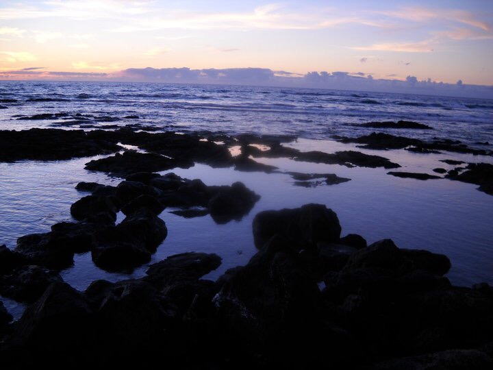 177E0B6B-D3BC-4C33-A51A-F804757C0451