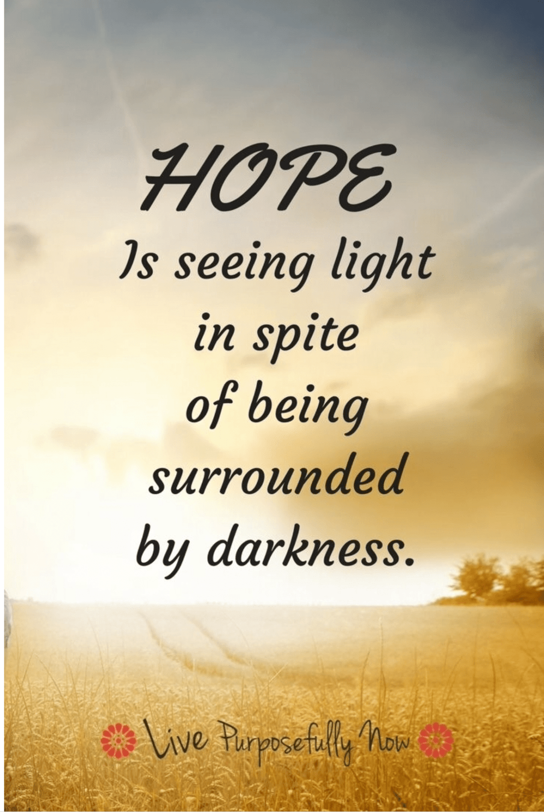 3869B7DD-408C-4382-A76D-E6BE9A257115