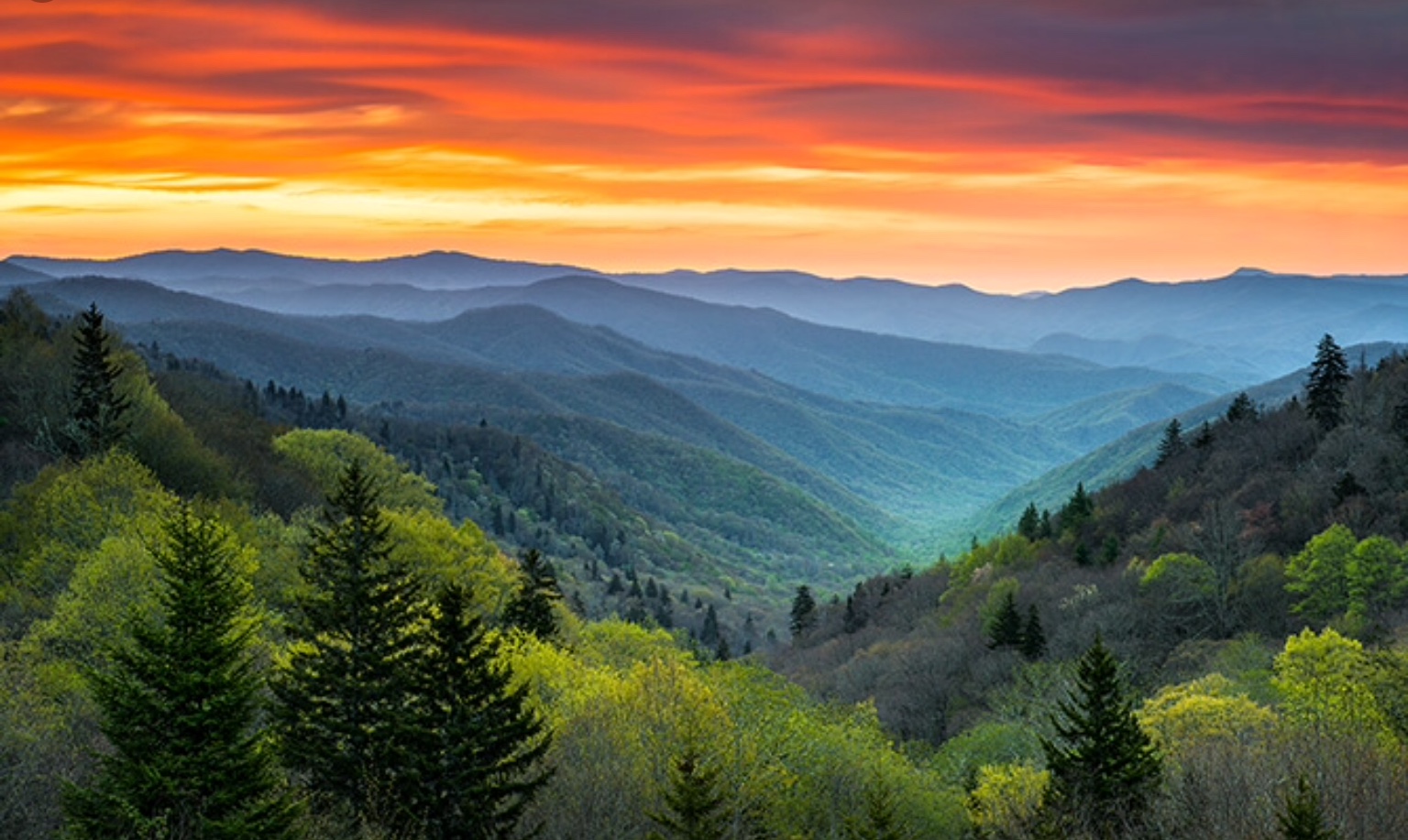 99ECD1E5-FC5B-4F42-A9DE-2B524B8DC42E